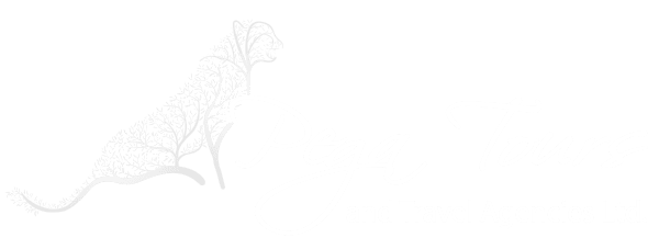 pega tours & travel agencies ltd nakuru